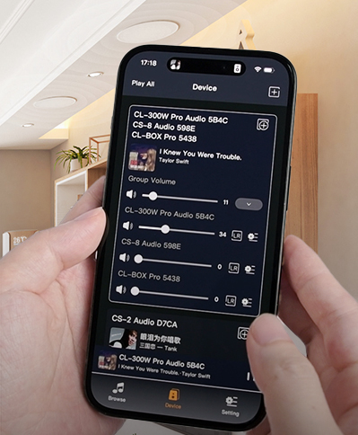 Multi-room Playback